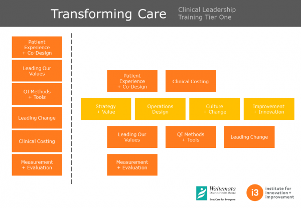 i3 Transforming Care - Tier 1