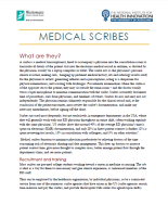 medical scribe medical school