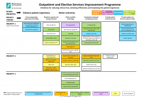 Outpatients & Elective Services Improvement Programme